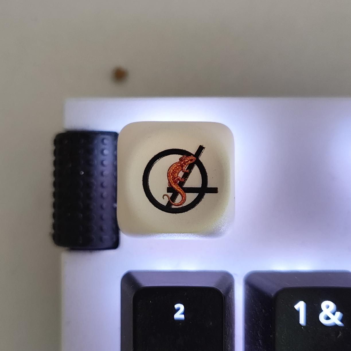 touche clavier personnalisable, 10 piéces 3